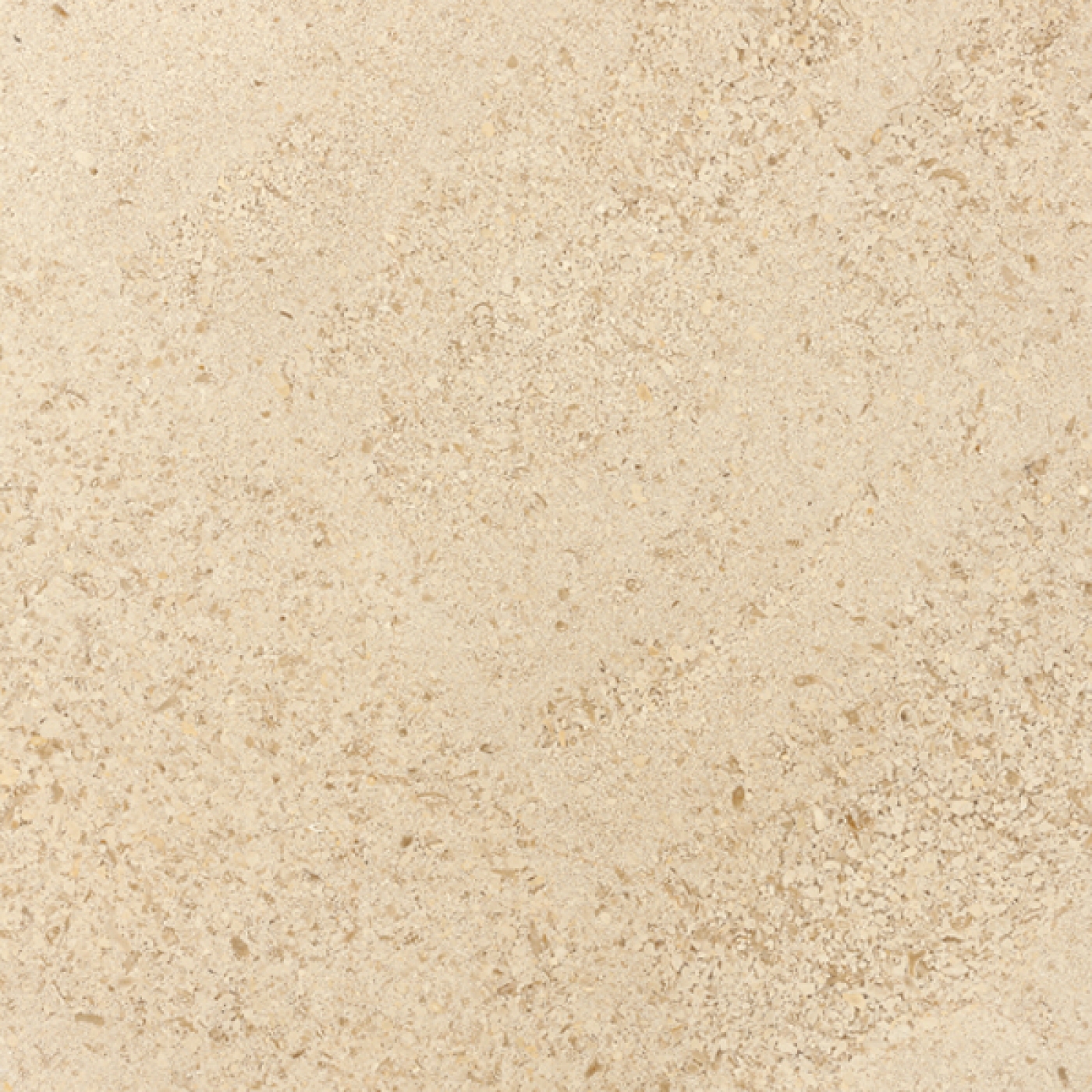 Limestones &amp; Breccias Collection