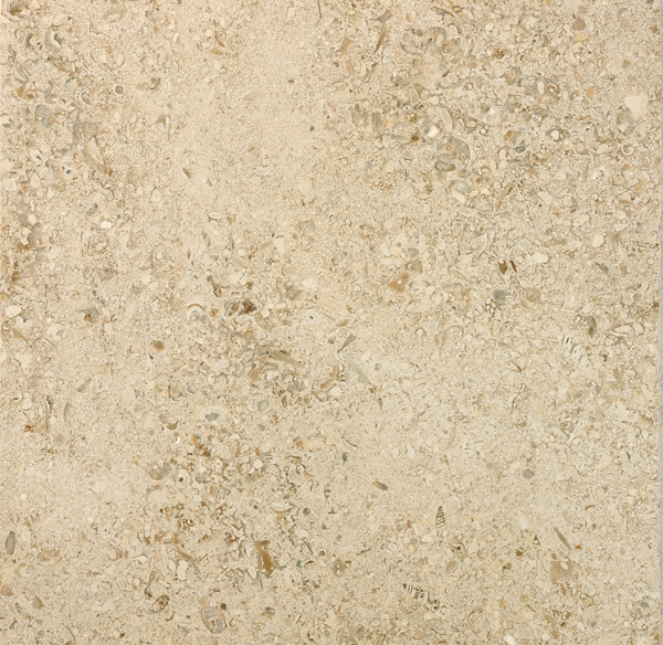 Moca Cream Mf3 Sawn in Favour Polished