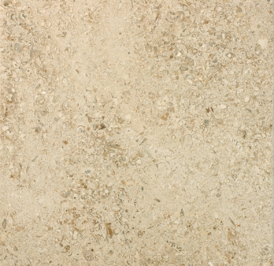 Moca Cream Mf3 Sawn in Favour Polished