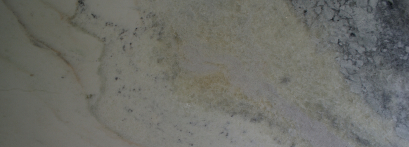Marmore Branco Polar I