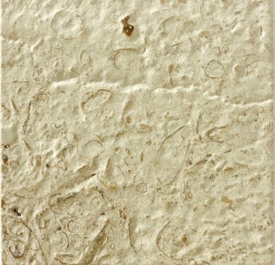 Moca Fossilina Serrado Contra V