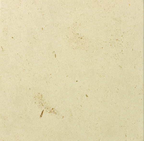 Coda&ccedil;al B3 Sawn in Favour Polished