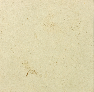 Coda&ccedil;al B3 Sawn in Favour Polished