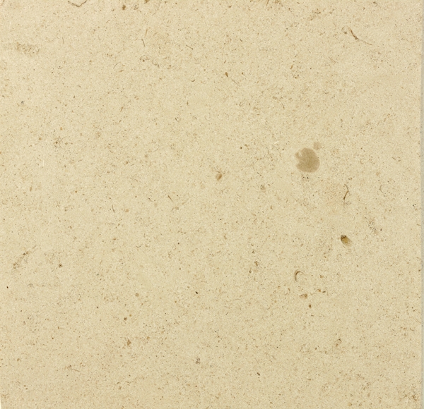 Cabe&ccedil;a Veada Fine Grain Polished