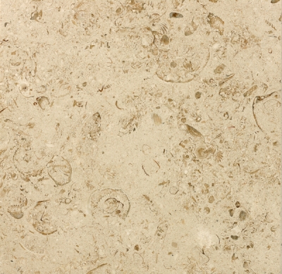 Moca Cream Mf4 Sawn Agains Polished